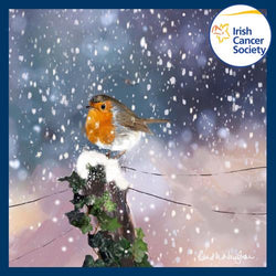 Charity Christmas Card (In Irish & English) - Box / Irish Cancer Society ICS & Robin On Pole