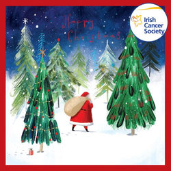 Charity Christmas Card (In Irish & English) - Box / Irish Cancer Society ICS & Santa Snow