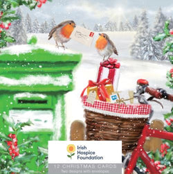 Charity Christmas Card (In Irish & English) - Box of 12 / Irish Hospice Society IHS & Two Robin