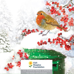 Charity Christmas Card (In Irish & English) - Box / Irish Hospice Society IHS & Robin On Tree