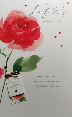 Wife Valentines Day Card