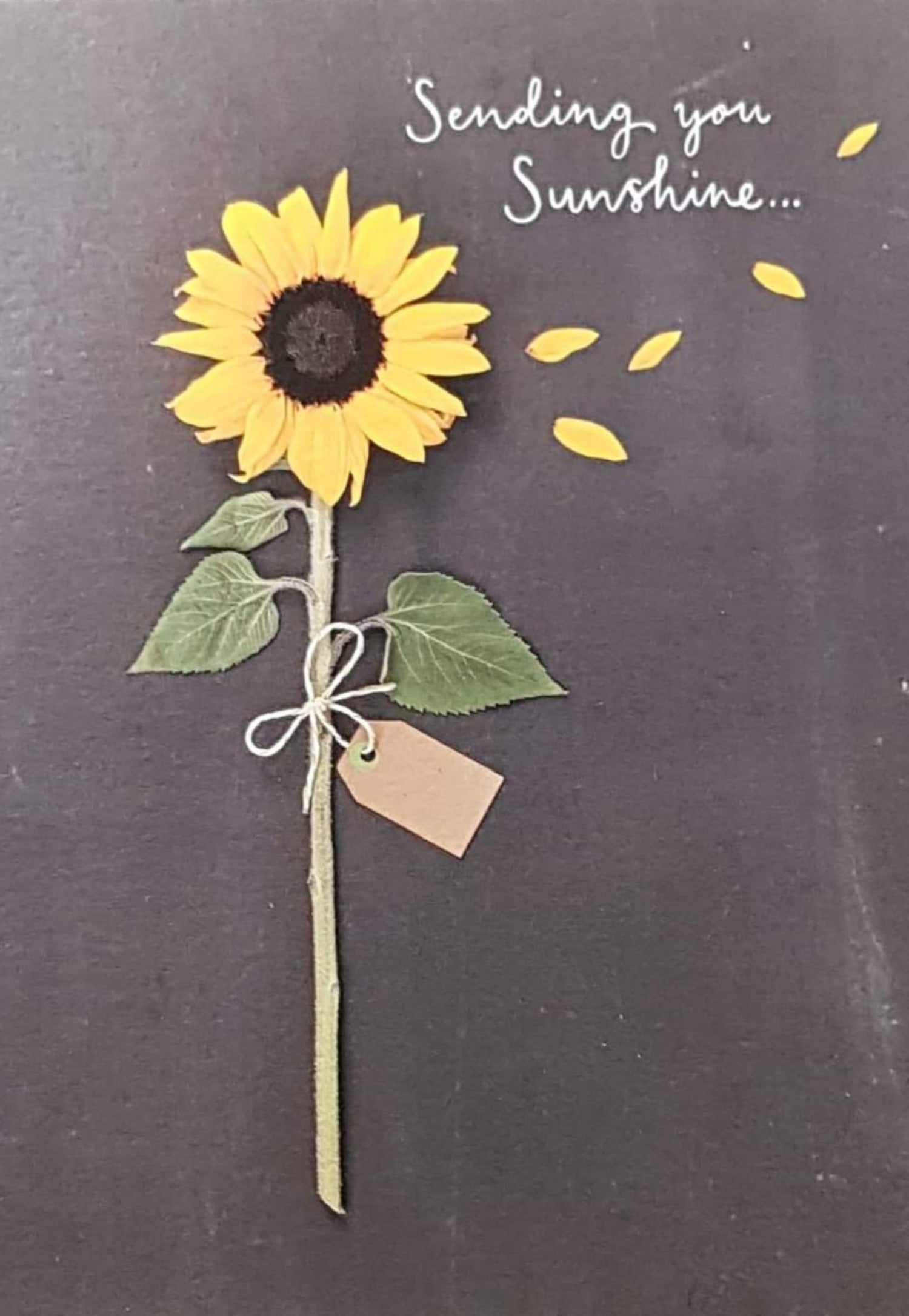 Thinking Of You Card - Single Sunflower & Sending You A Sunshine