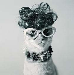 Humour Mothers Day Card - A Funny Cat With Glasses & A Wig