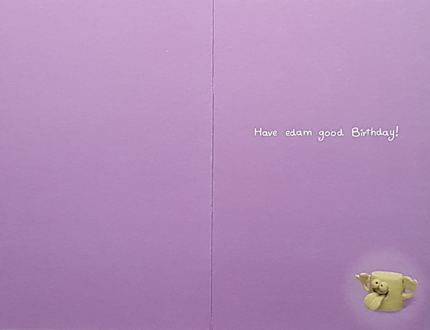 Birthday Card - Humour / Two Funny Cheddar Cheeses On A White Table