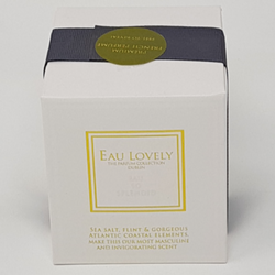 Natural Wax Candle - Sea Salt, Flint, & Gorgeous Atlantic Coastal Elements (Masculine Scent)