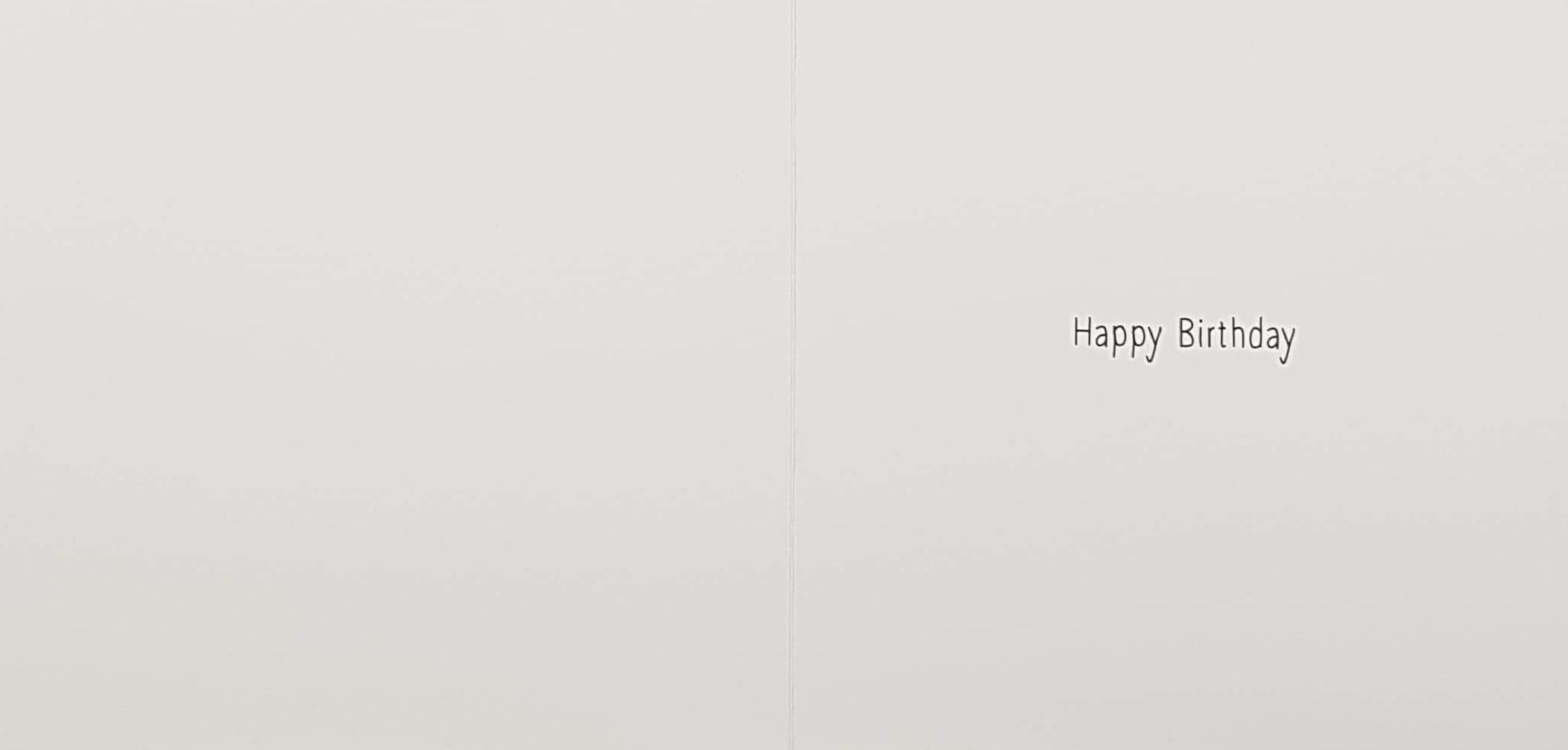 Birthday Card - Humour / Flaming With Fluffy Pink Tommy