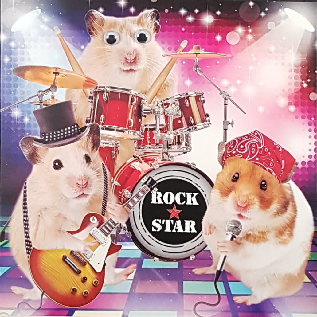 Birthday Card - Humour / Rock Stars Hamsters