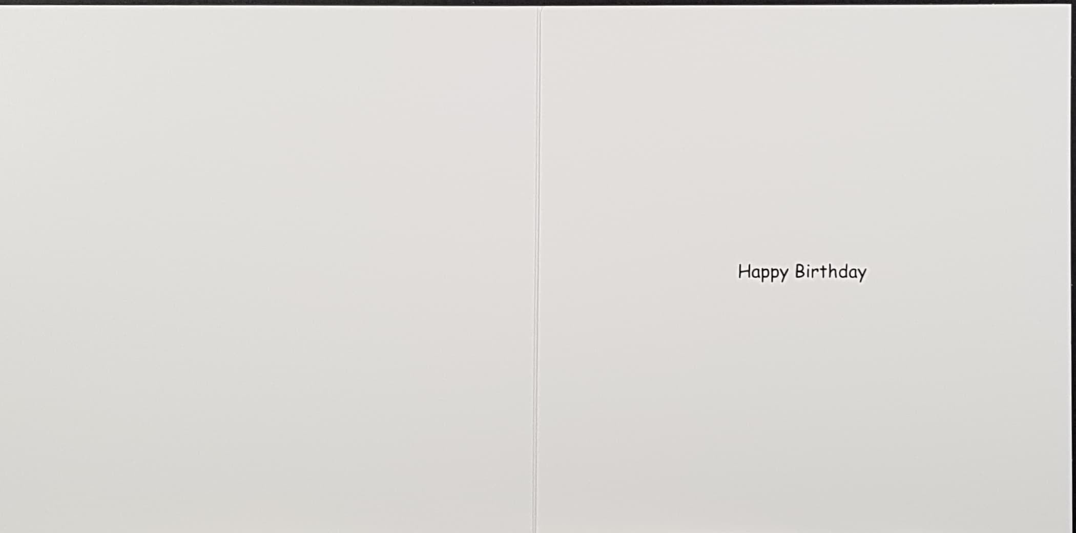Birthday Card - Humour / Rock Stars Hamsters