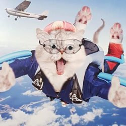 Birthday Card - Humour / A Flying Cat