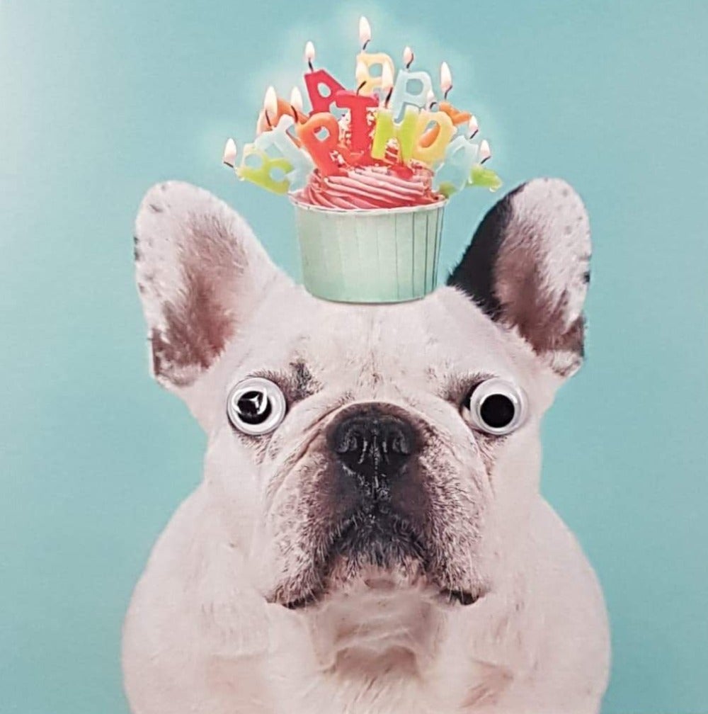 Birthday Card - Humour / A Birthday Cupcake With Lighting Candles On Doggies Head