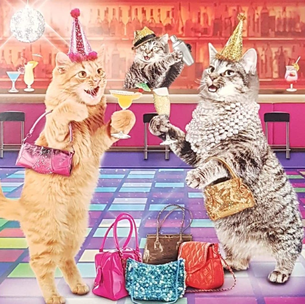 Birthday Card - Humour / Three Cats In The Pub