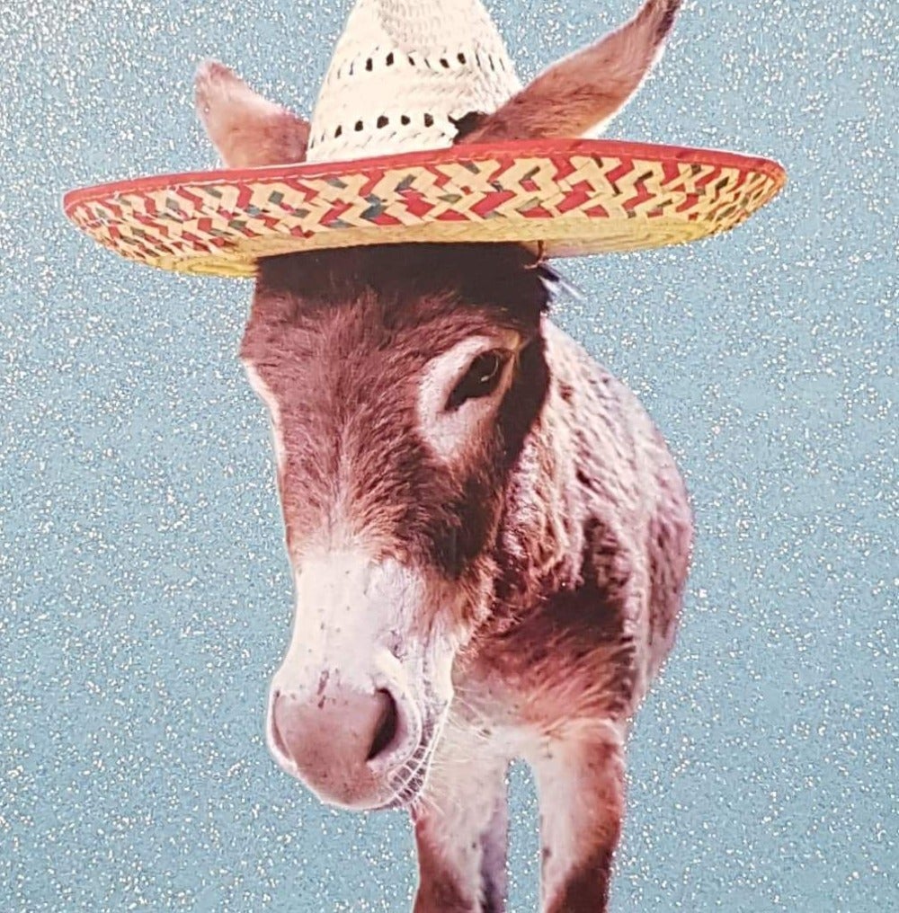Birthday Card - Humour / A Donkey Wearing Sombrero