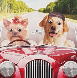 Birthday Card - Humour / Weekend Away