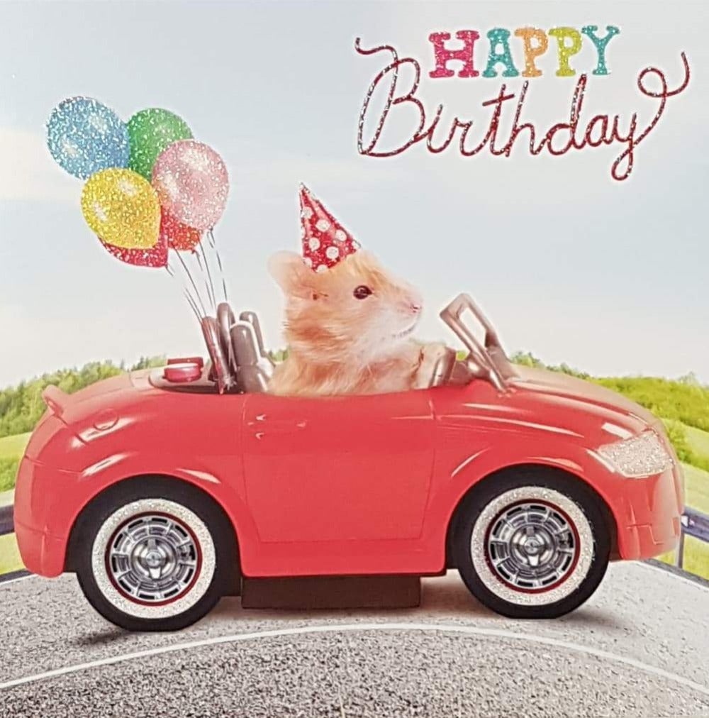 Birthday Card - Humour / A Hamster Driving A Red Car Wearing The Party Hat