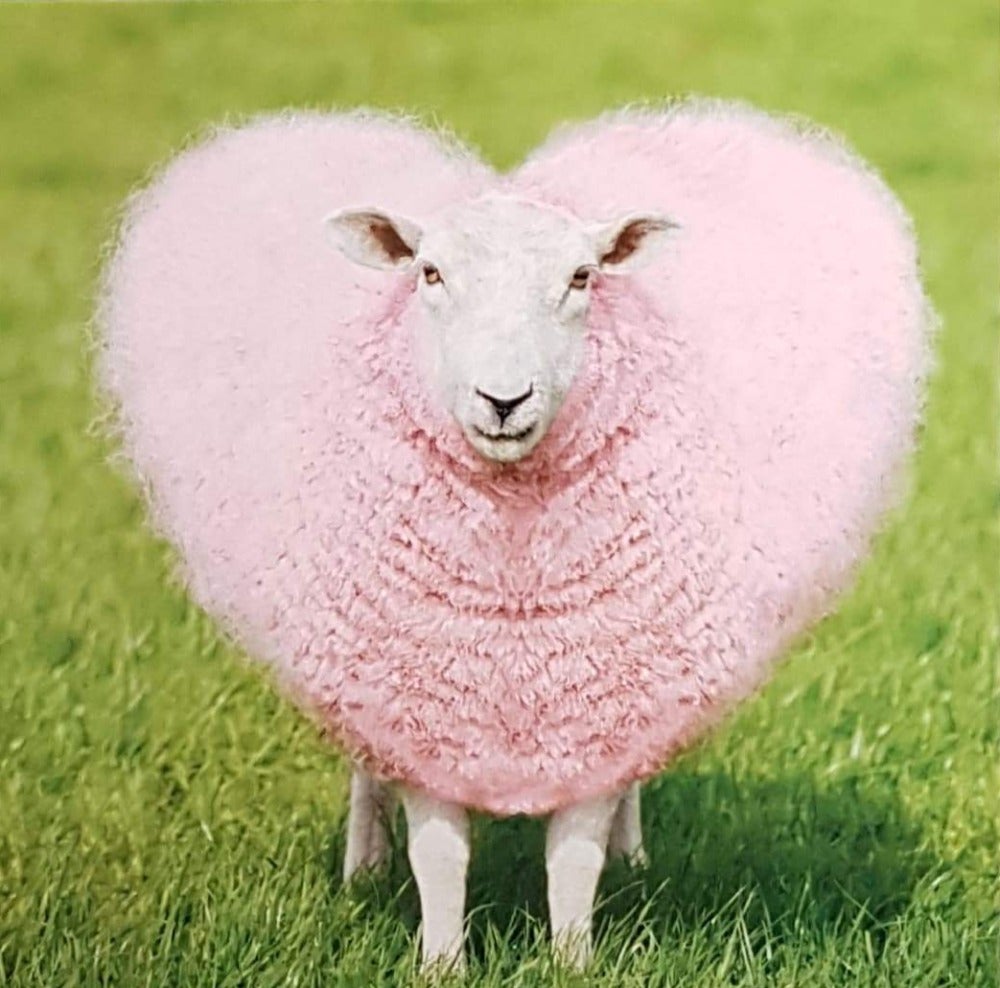 Blank Card - Humour / 'Woollen Heart'