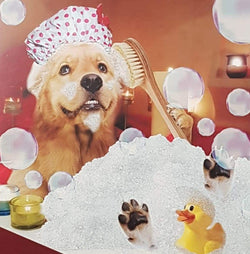 Blank Card - Humour / 'Raymond's Bubbles'