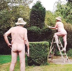 Blank Card - Humour / 'A Lovely Bush'