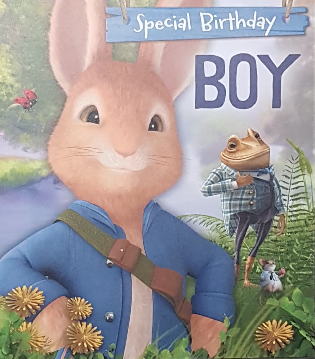 Birthday Card - Juvenile / A Rabbit & A Frog & A Ladybug (Boy)