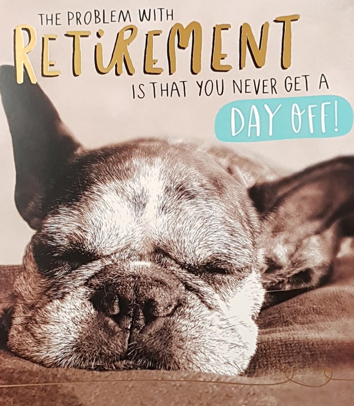 Congratulations Card - Retirement / A Sleeping Grey Dog