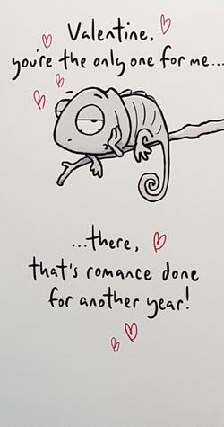 Humour Valentines Day Card