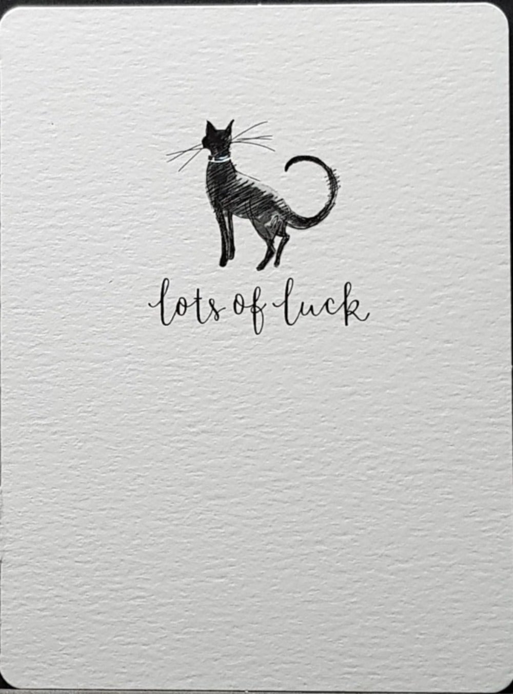 Good Luck Card - Humour / 'Lots Of Luck' & A Black Cat