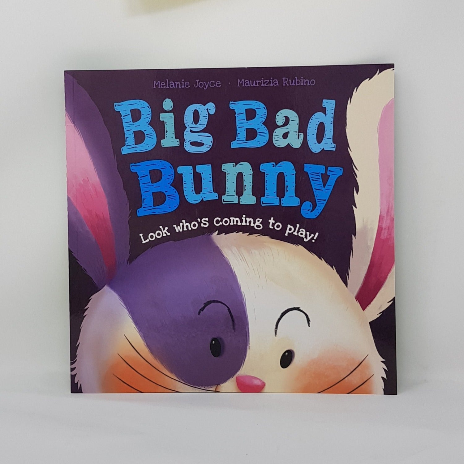 Kids Gift - Story Book / Big, Bad Bunny