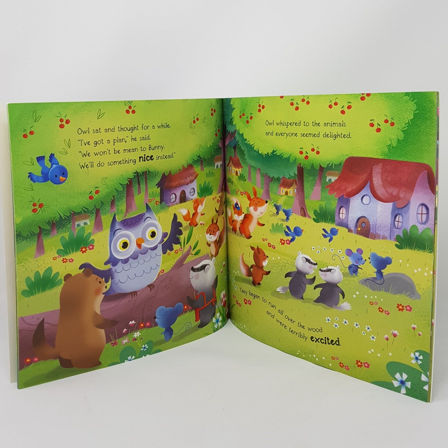 Kids Gift - Story Book / Big, Bad Bunny