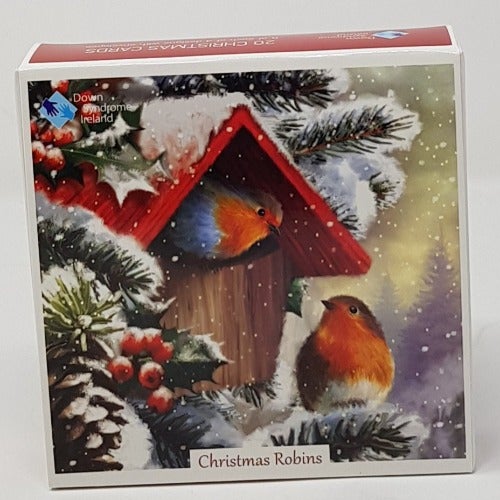 Charity Christmas Card - Box / Down Syndrome Ireland - Christmas Robins