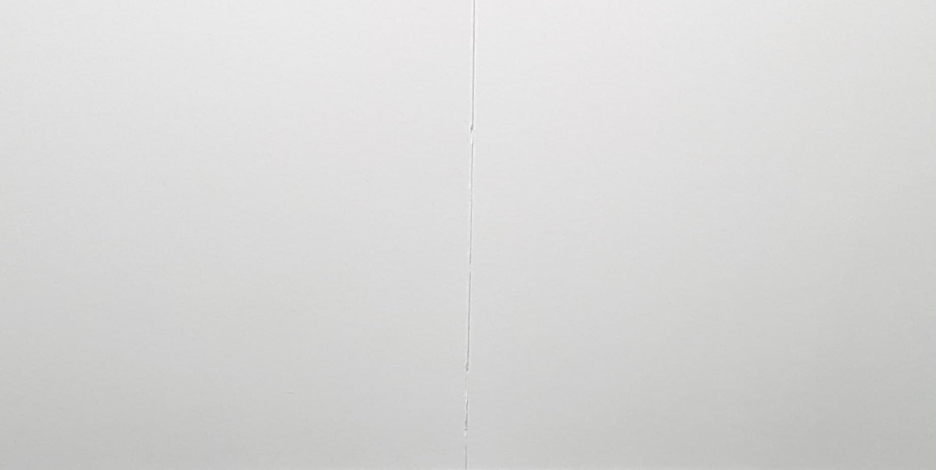 Blank Card - A White Chamomile On Purple Background