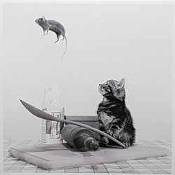 Blank Card - A Cat Having Fun With A Mouse