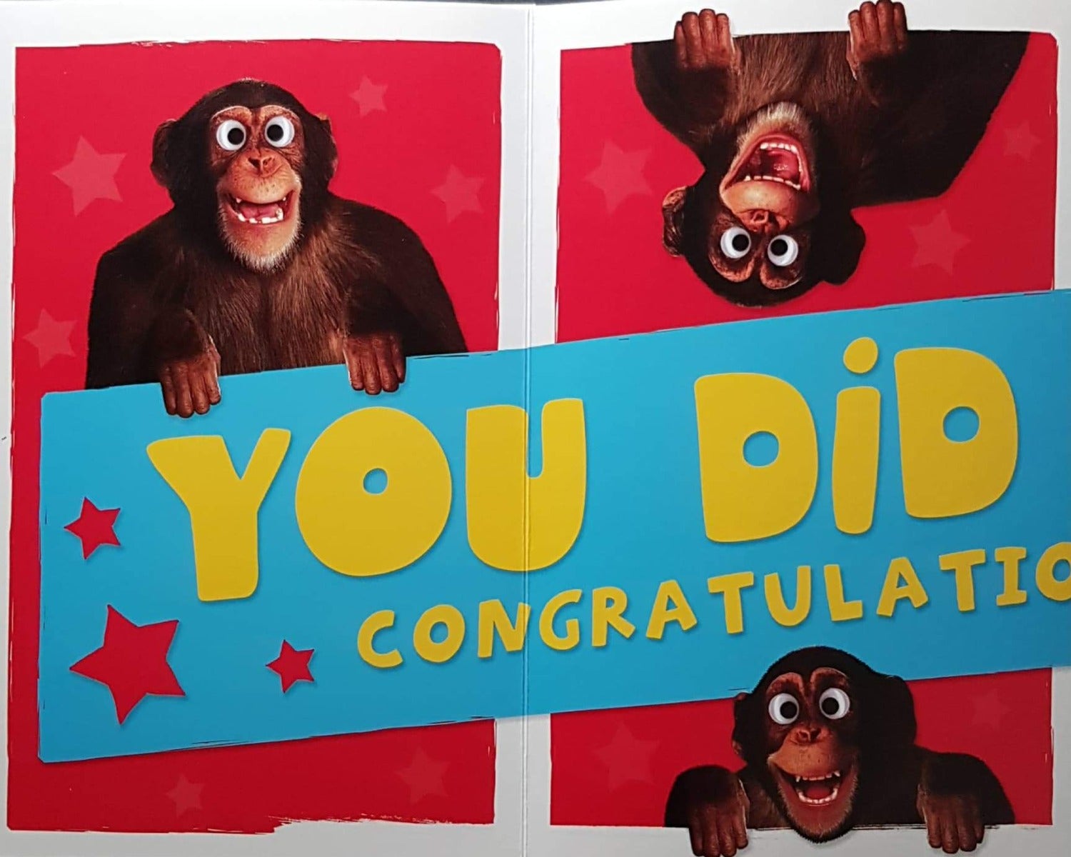 Congratulations Card - From All Of Us & Chimps