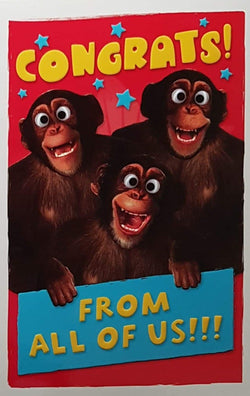 Congratulations Card - From All Of Us & Chimps
