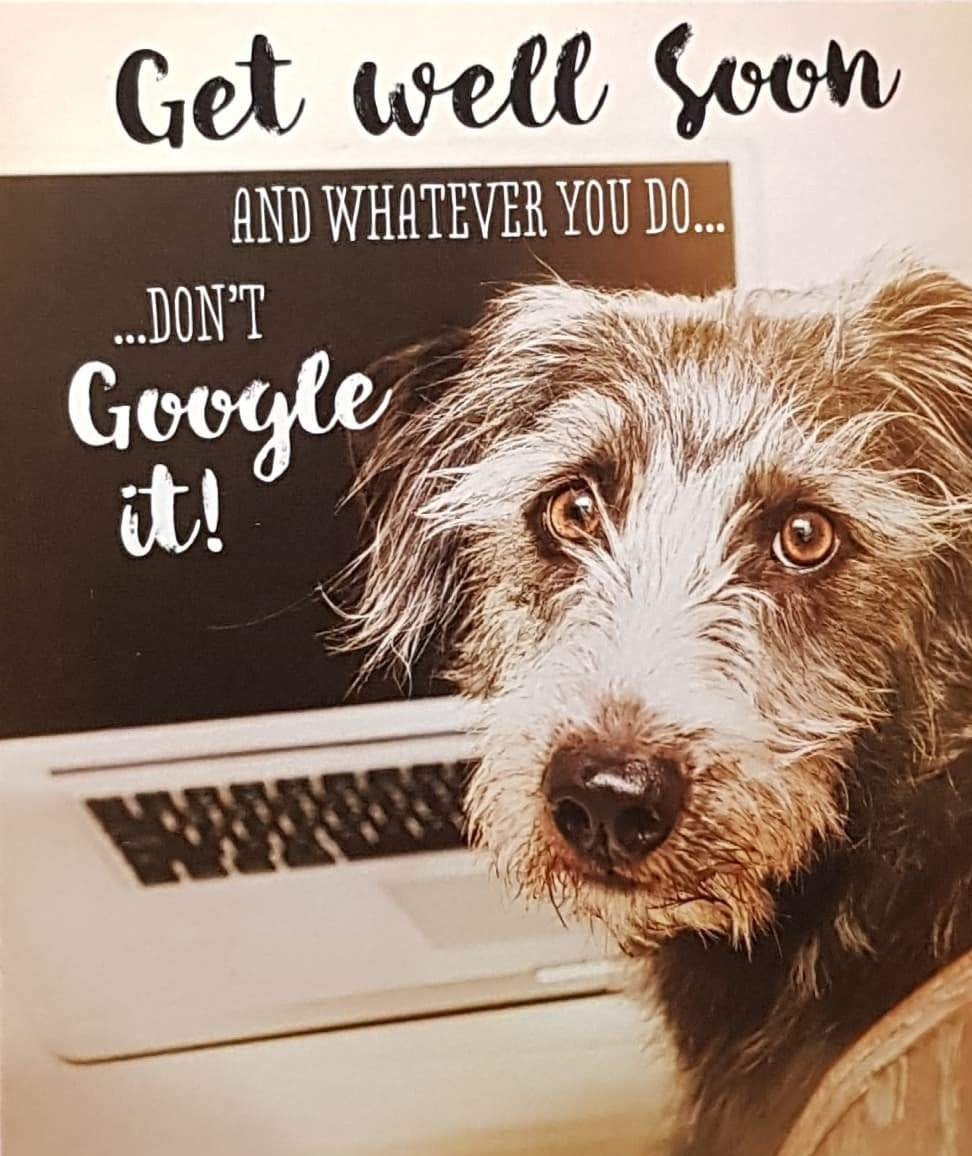 Get Well Card - Humour / Friendly Dog Advising In Front Of The Laptop