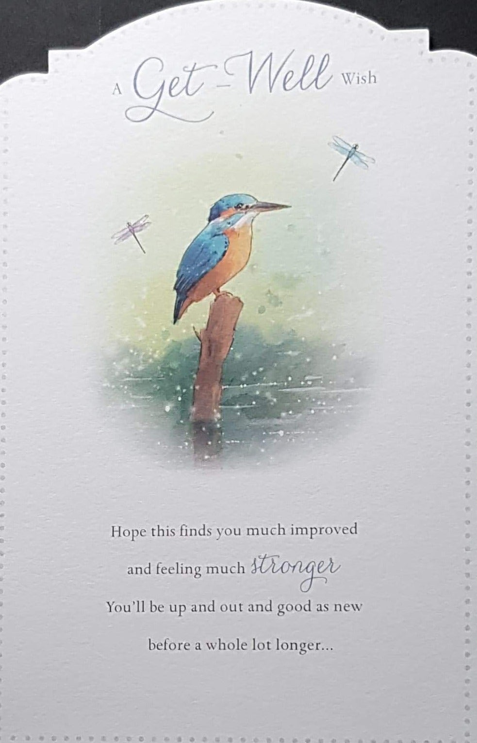 Get Well Card - Two Dragonflies & A Robyn