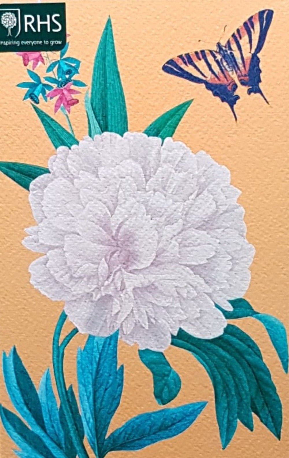 Blank Card - A Pink Hydrangea & A Butterfly On The Yellow Background