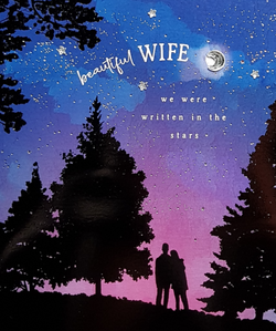 Wife Valentines Day Card