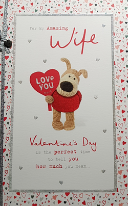 Wife Valentines Day Card