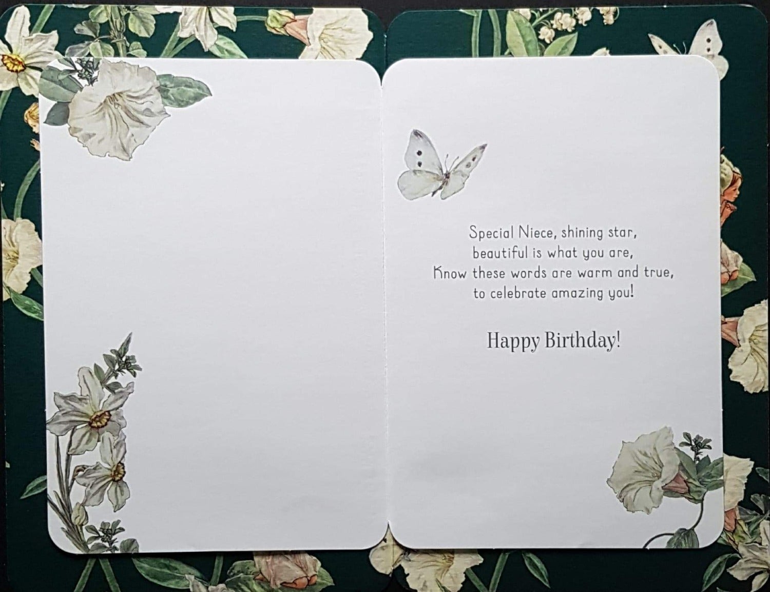 Birthday Card - Niece / A Beautifull Fairy On The Leaf