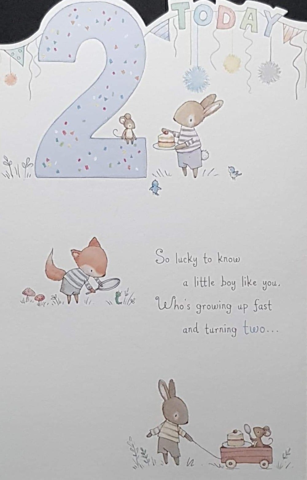 Birthday Card - Age 2 / A Rabbit And A Mouse