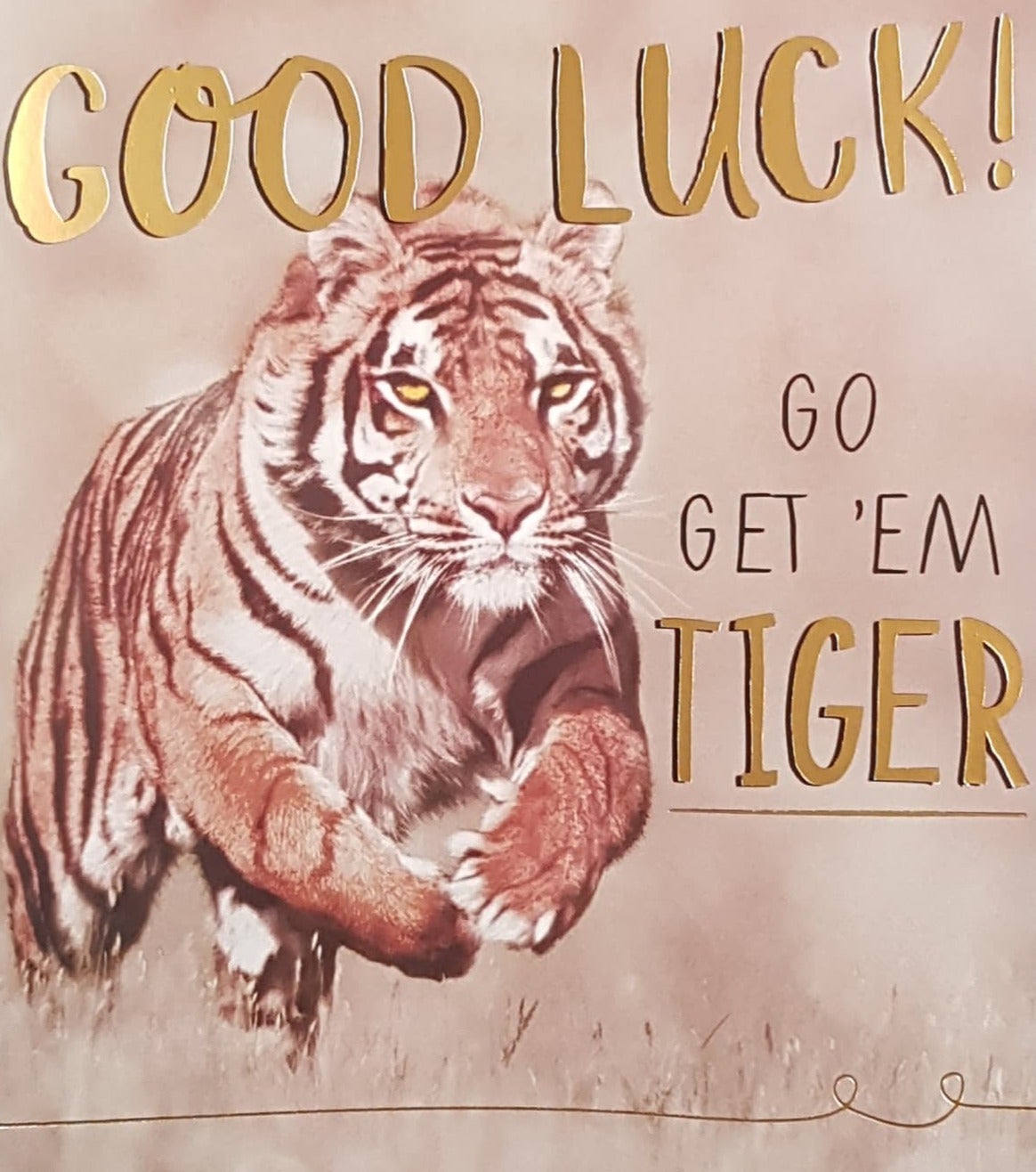 Good Luck Card - General / 'Go Get 'Em Tiger'