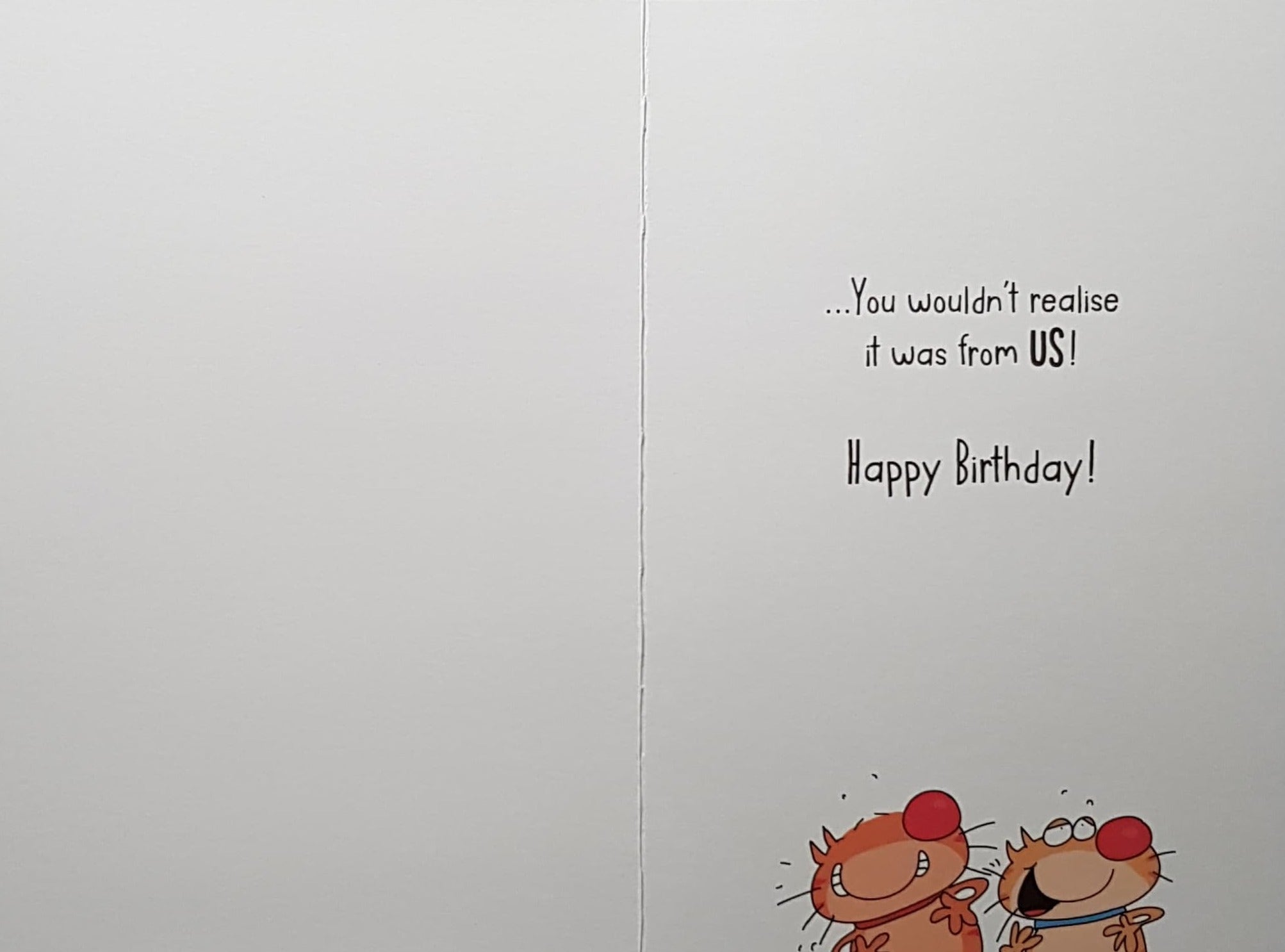 Birthday Card - Humour/ Two Happy Cats Posting An Envelope In A Red Letterbox