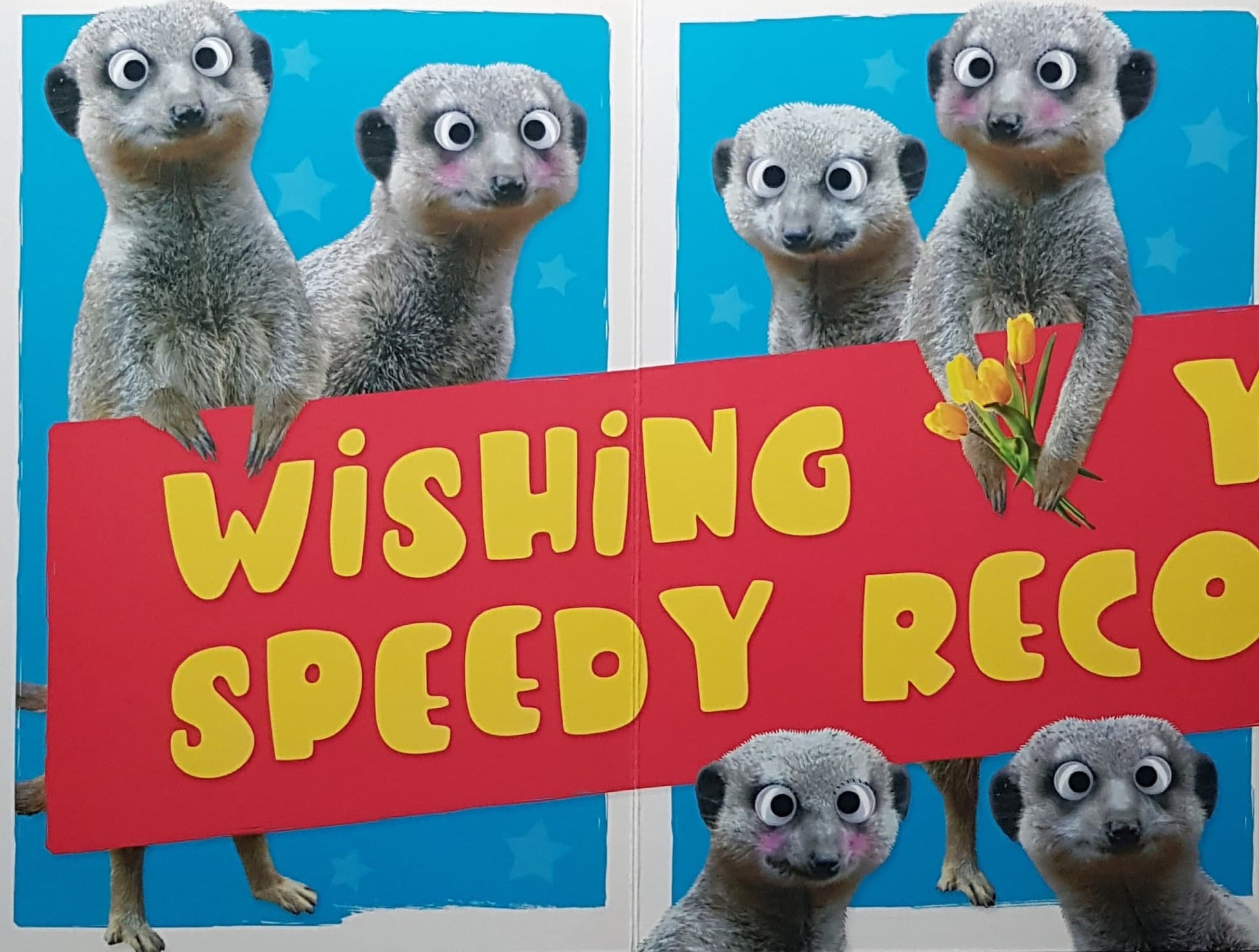 Get Well Card - Three Cute Meerkats & Red Stars