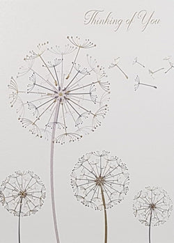 Thinking Of You Card - Dandelions Being Blown By A Wind