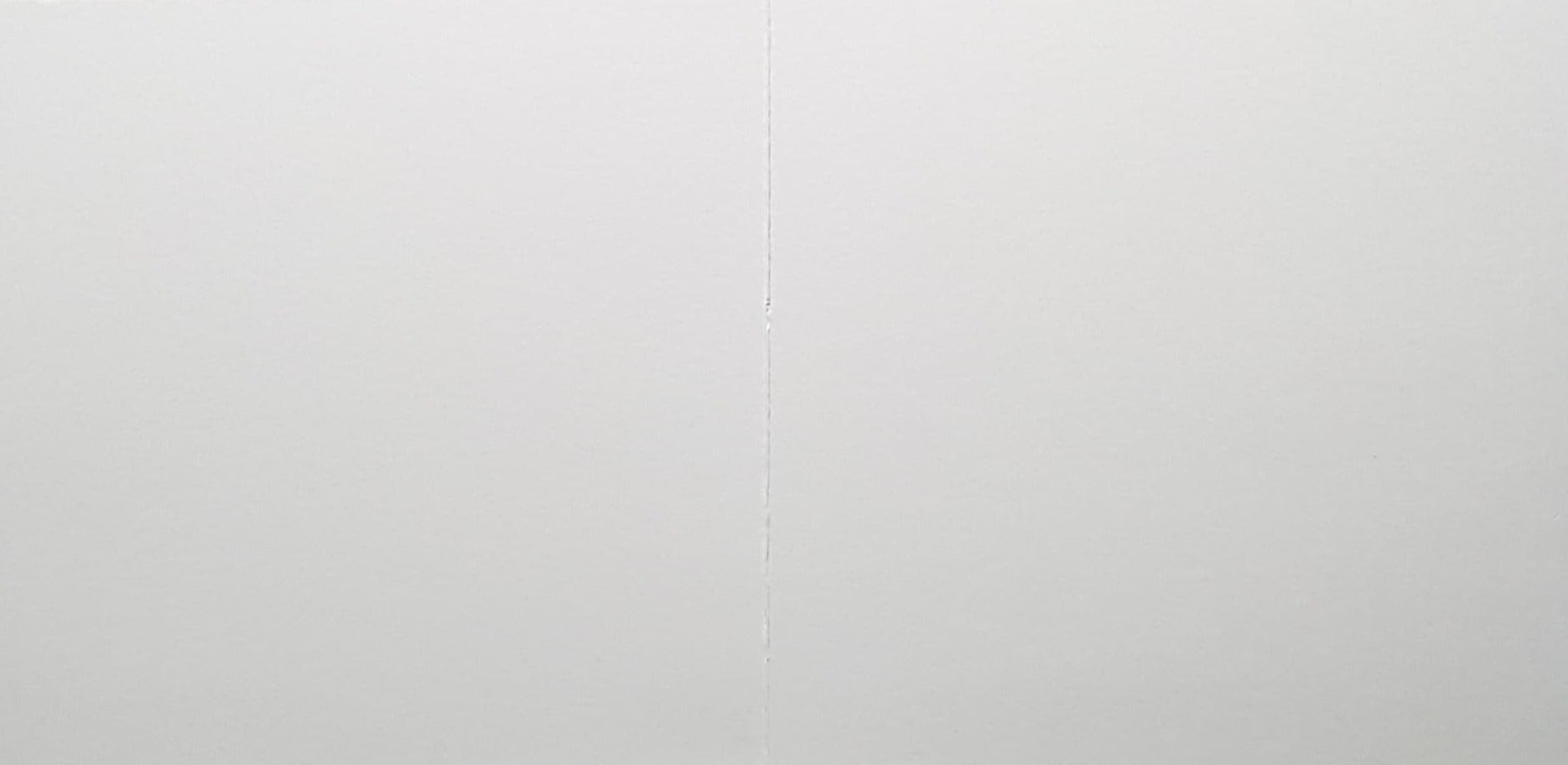 Blank Card - A Black Baby Monkey