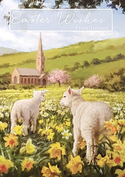 Easter Card - From Ireland / Two White Lambs In A Meadow Of Daffodils