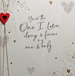 One I Love Valentines Day Card