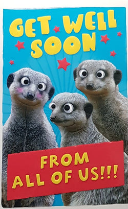 Get Well Card - Three Cute Meerkats & Red Stars