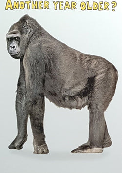 Birthday Card - Humour / Another Year Older ?