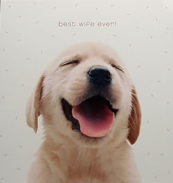 Wife Valentines Day Card