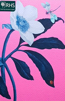 Blank Card - A White Flower & A Dragonfly On A Pink Background